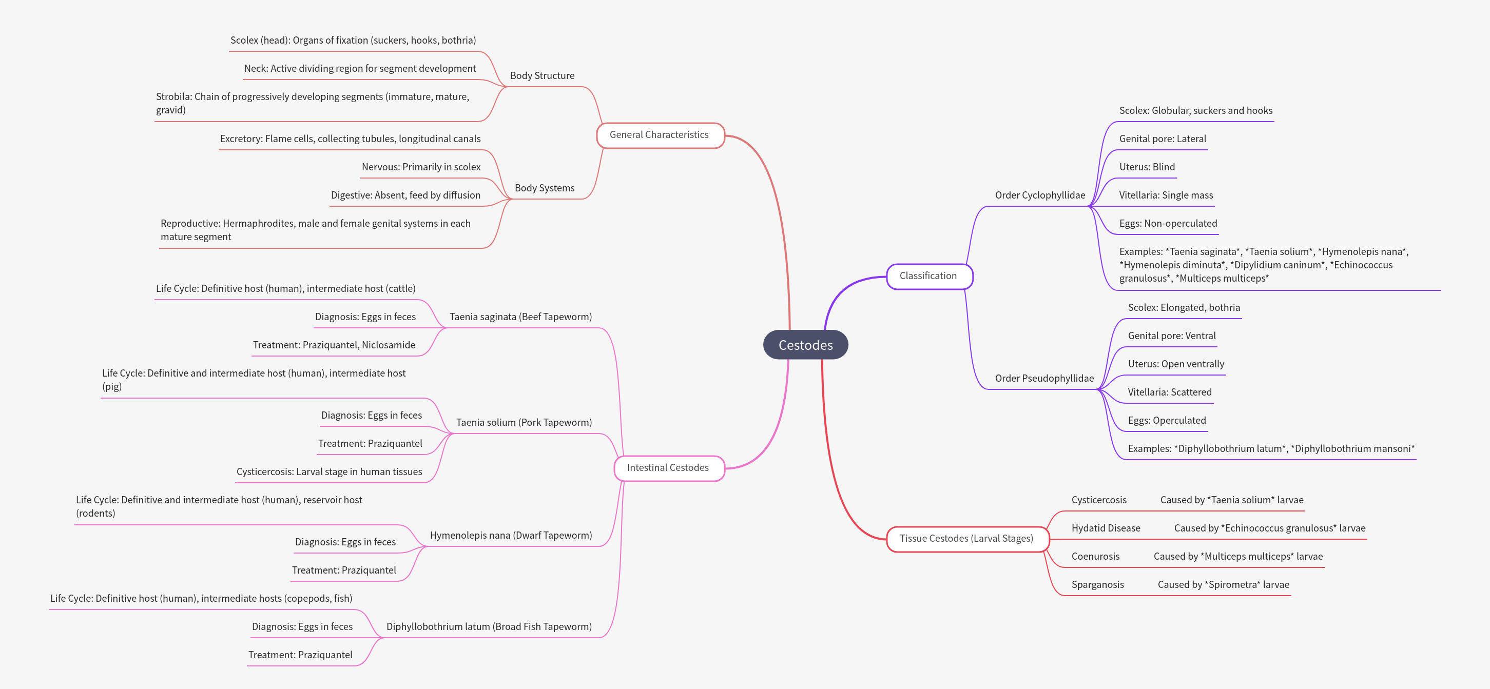 Comprehensive Guide to Cestodes (Tapeworms)