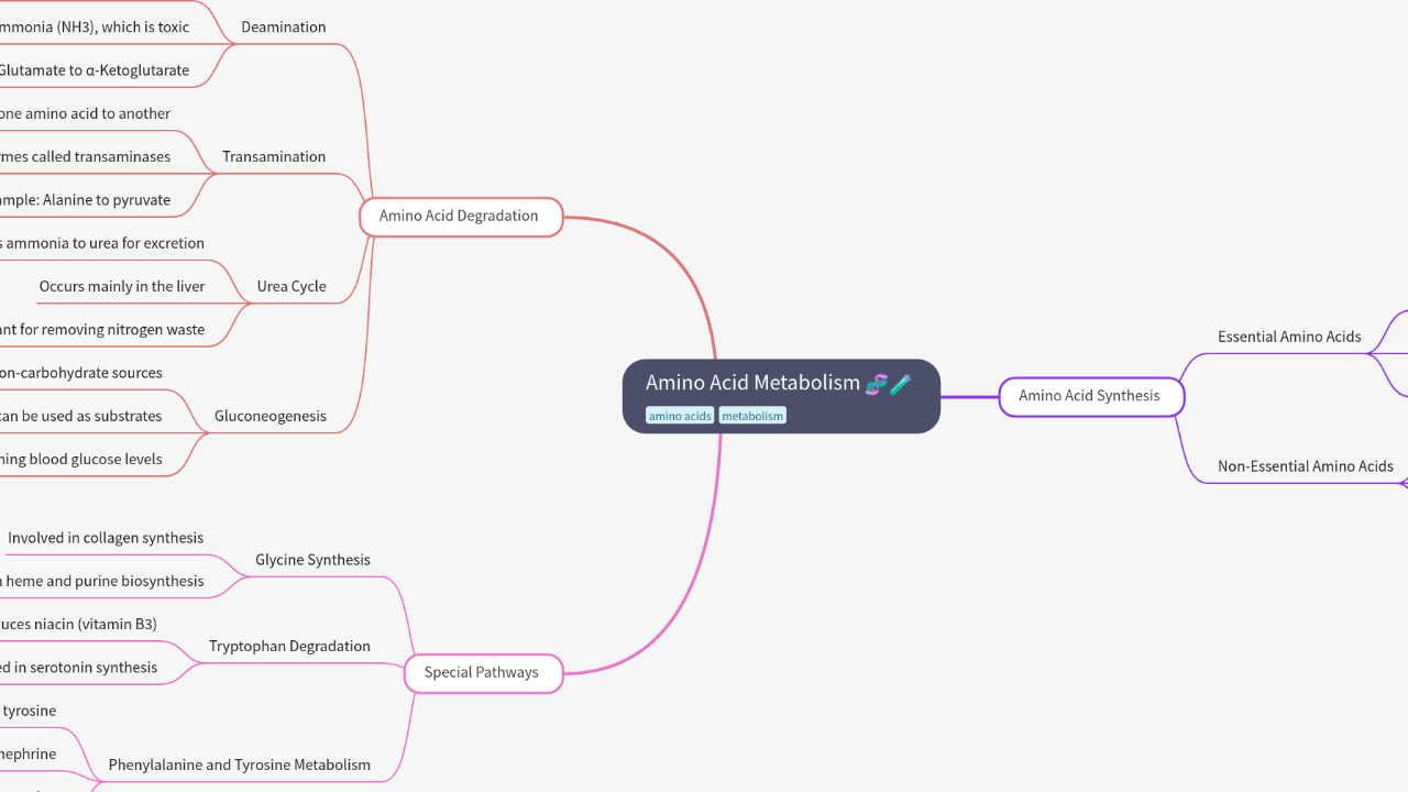 Mind Map:Amino Acid Metabolism ...