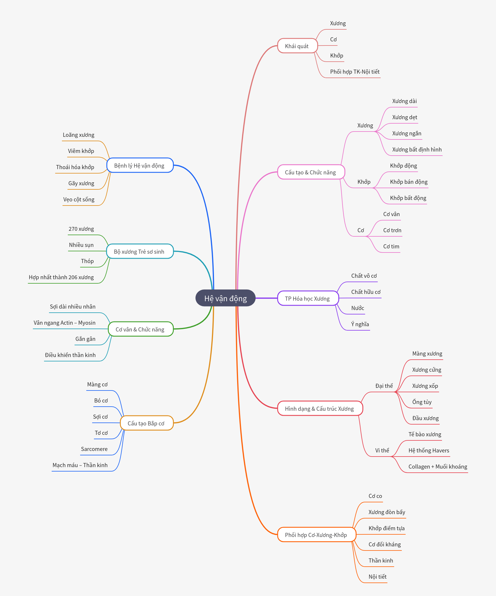 Human Locomotor System: Structure, Function, & Health