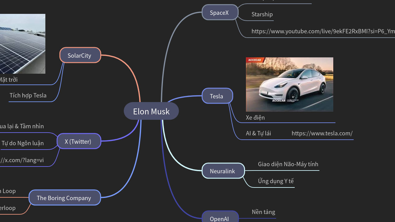 Mind Map:Elon Musk ...