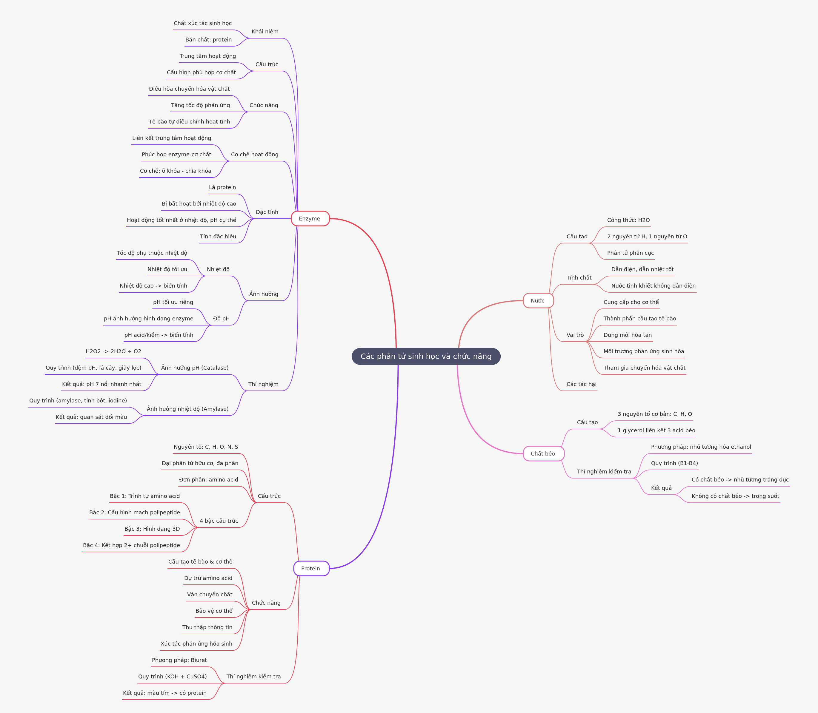 Biological Molecules & Functions: Water, Lipids, Proteins, Enzymes
