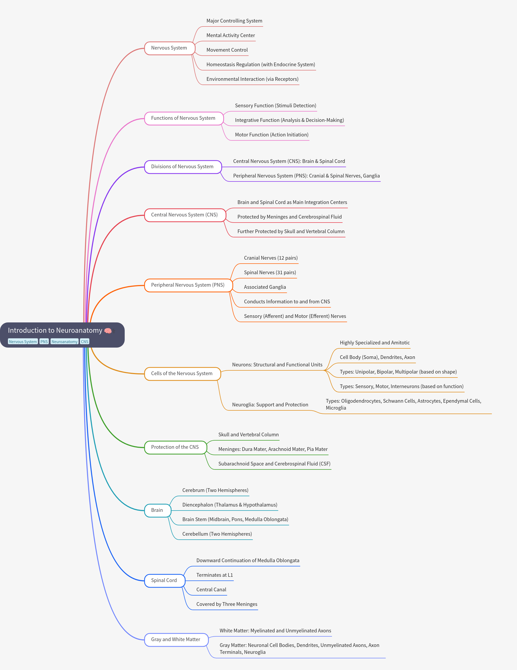 Introduction to Neuroanatomy