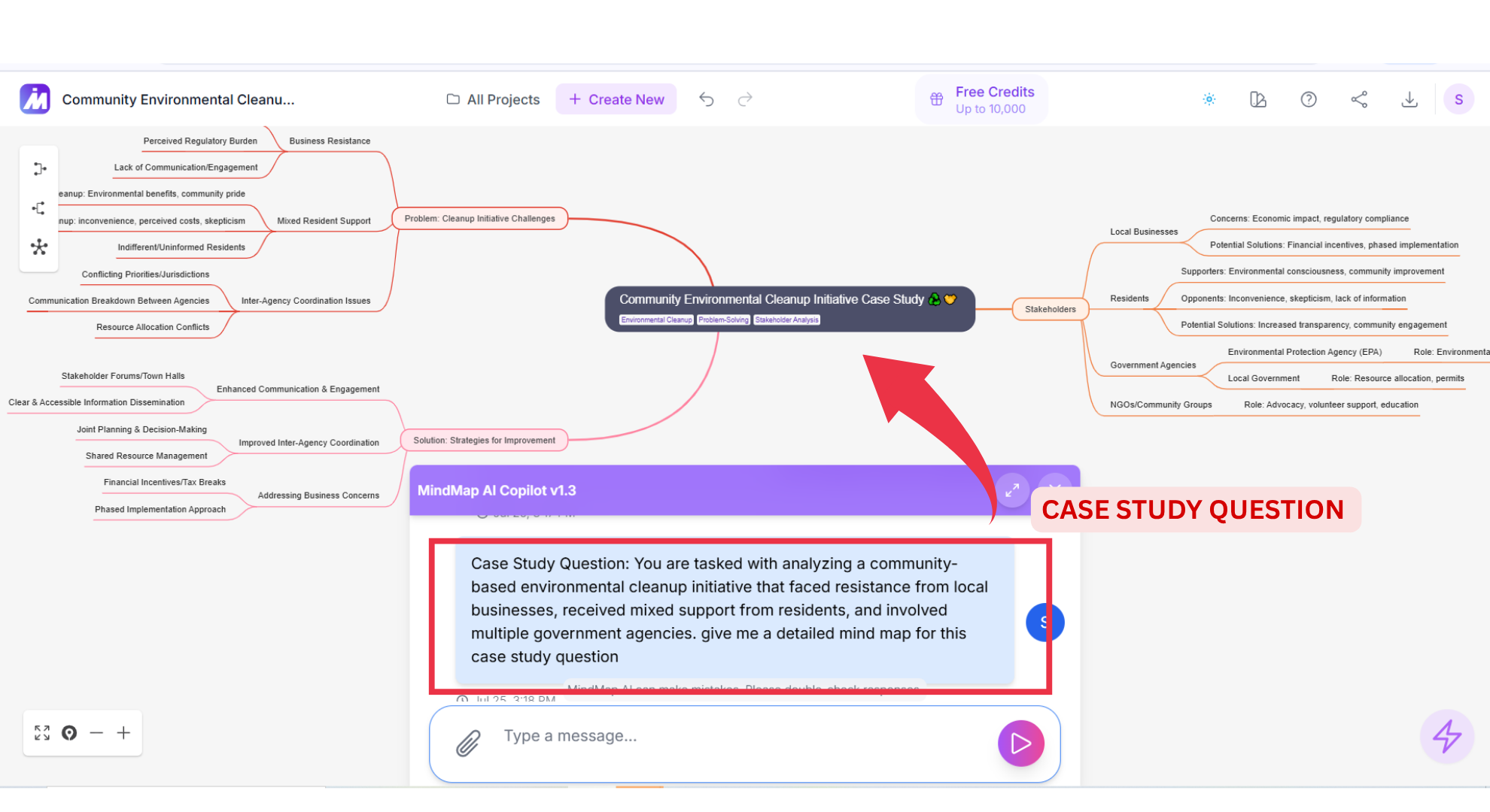 Mind map illustrating a case study with branches screenshot